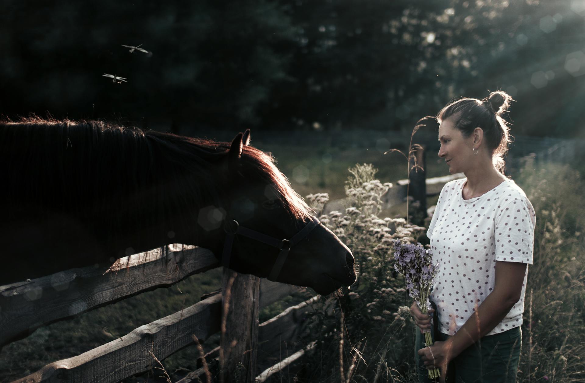 Gezond Oud Worden: A Woman Holding Flowers Next To A Horse