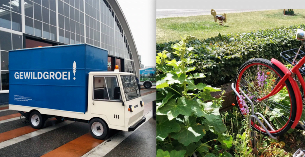 Afbeelding: Gewildgroei