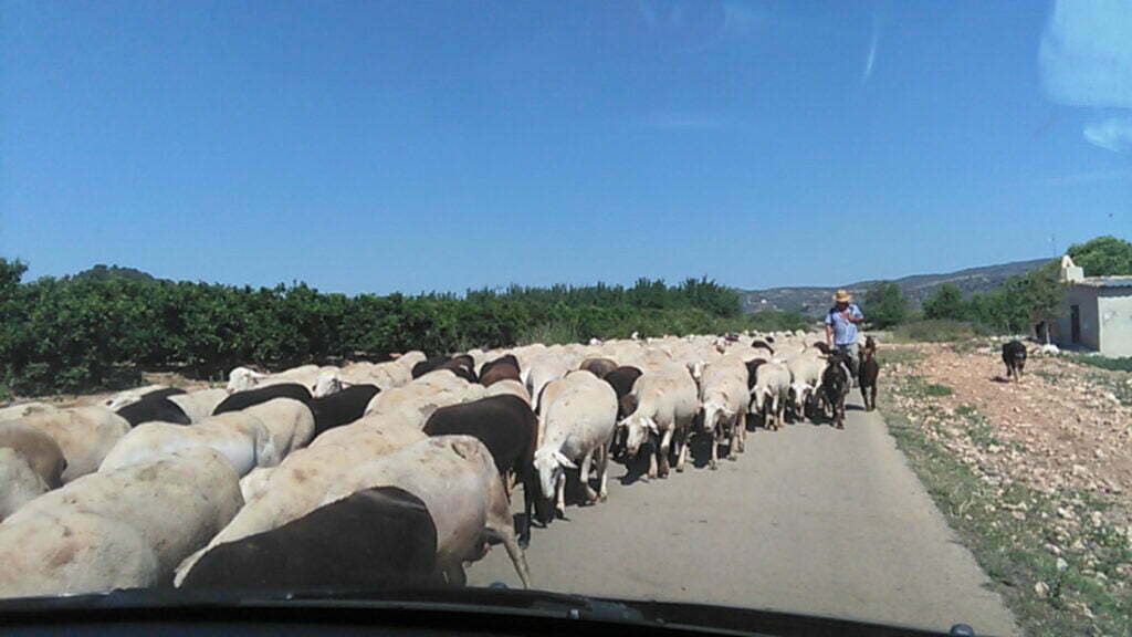 Afbeelding: Off-Grid In Spanje