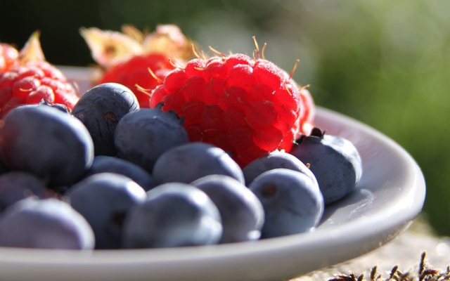 Fruitvliegjes