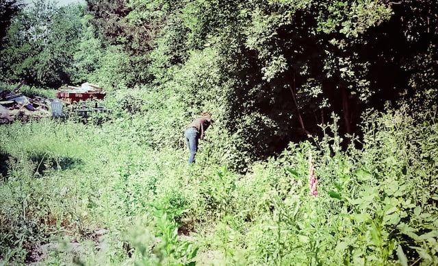 Een interview met stadsboerin Suzanne Monnier 3 4. Proeftuin Eramsusveld, Foto - Arthur Van Der Lee