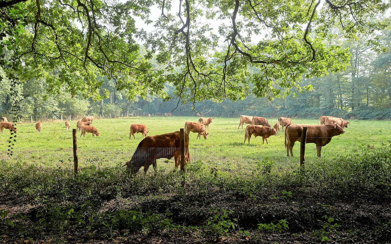 Herenboerderij Boxtel