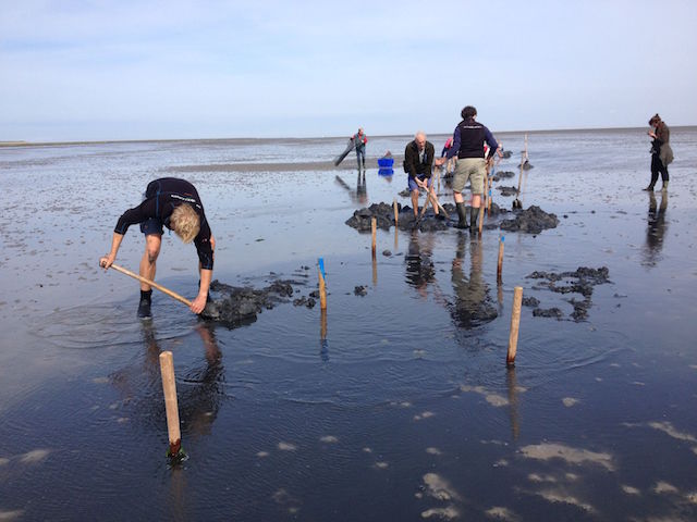 Natuurmonumenten Door Sanne Van Gemerden