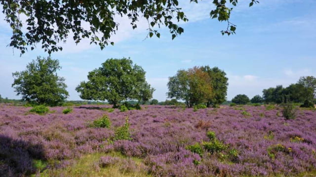 Deelthuis wordt een zelfvoorzienend deeldorp 4 Hoorneboeg Door Woonpioniers