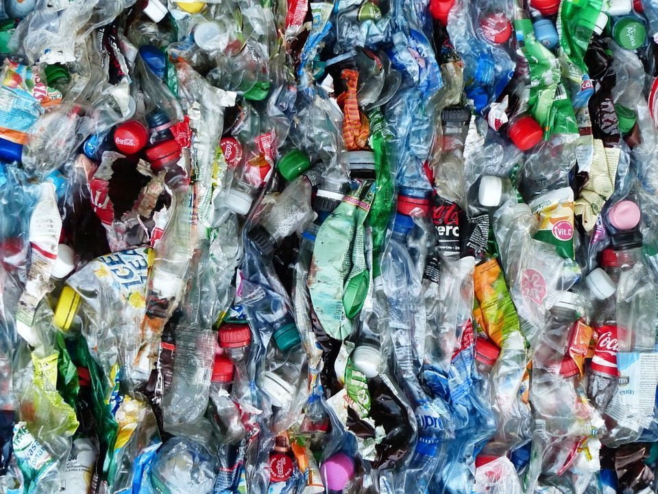 Plasticloos Leven