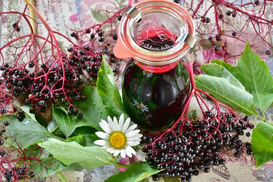 Holunderbeeren E1547627432986