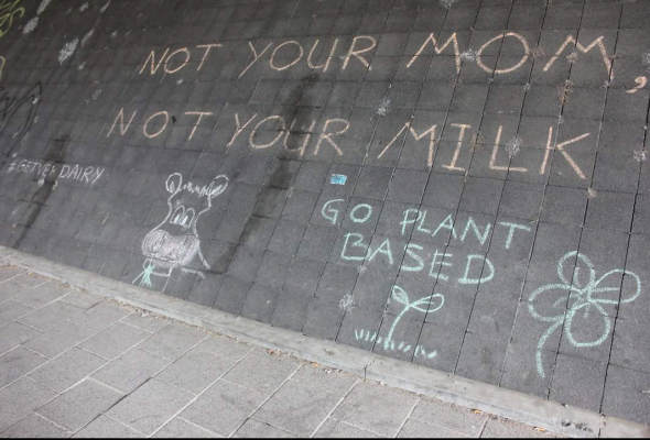 Wyke wordt vegan: tips voor de beginnende vegan 5 Muurschildering E1528754768842