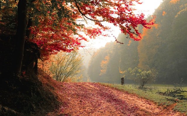 Herfstwandelingen