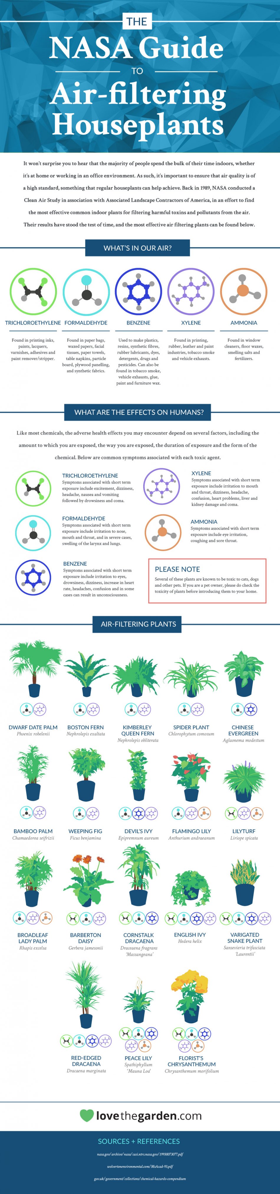 Nasa Guide To Air Filtering Houseplants