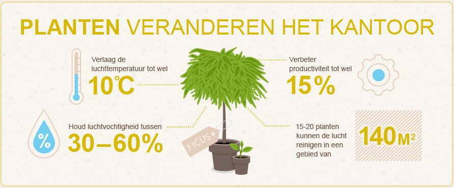 Werkomgeving Verduurzamen Met Planten