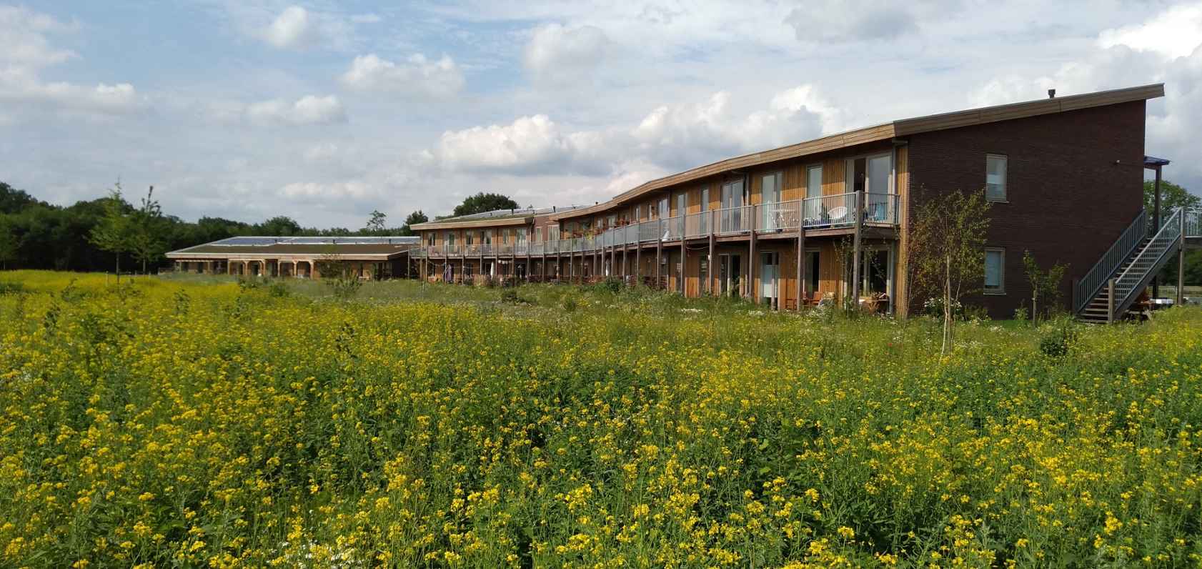 Pioniers Woongroep Zandroos 