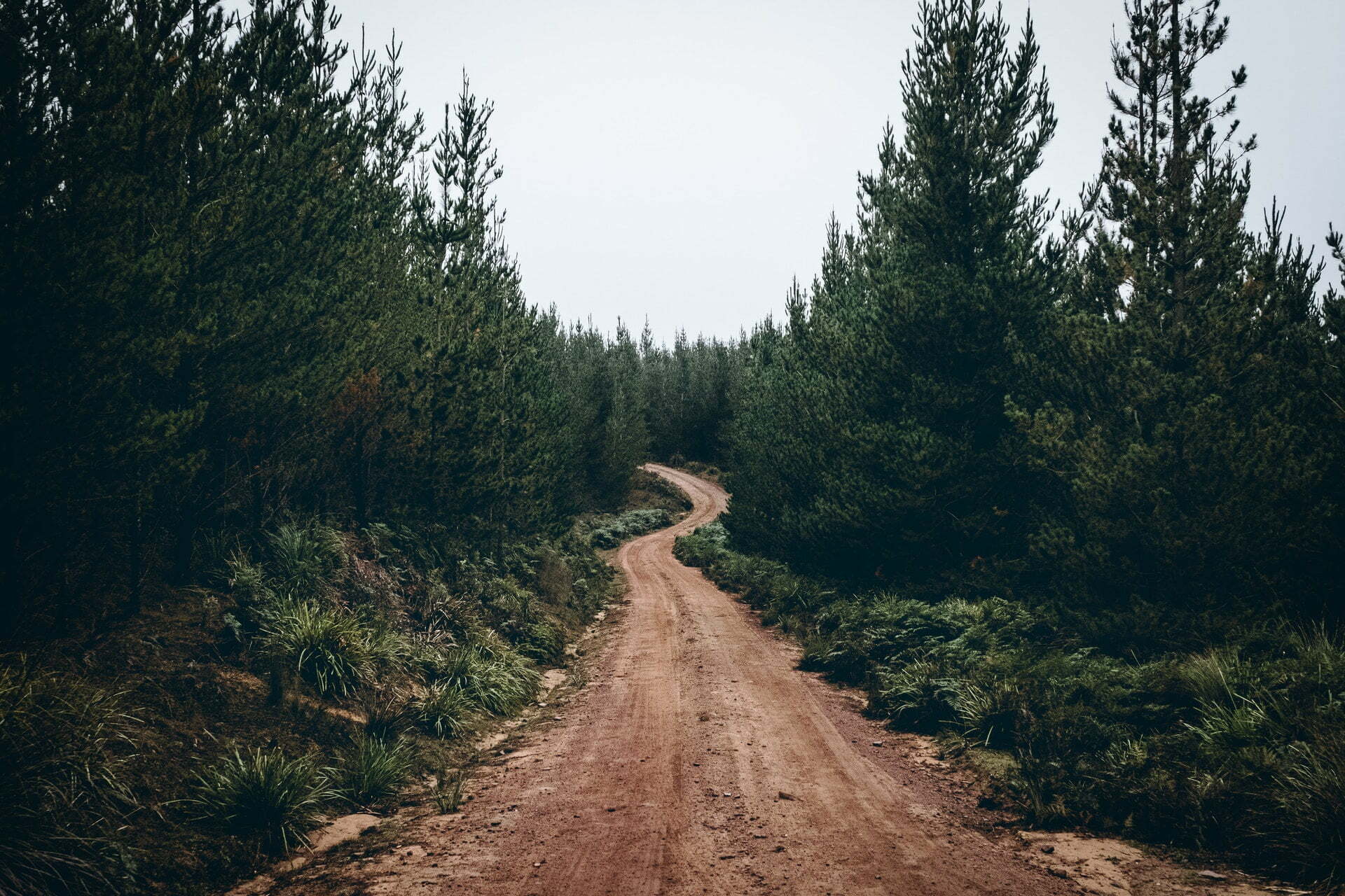 Wandelen In De Ardennen
