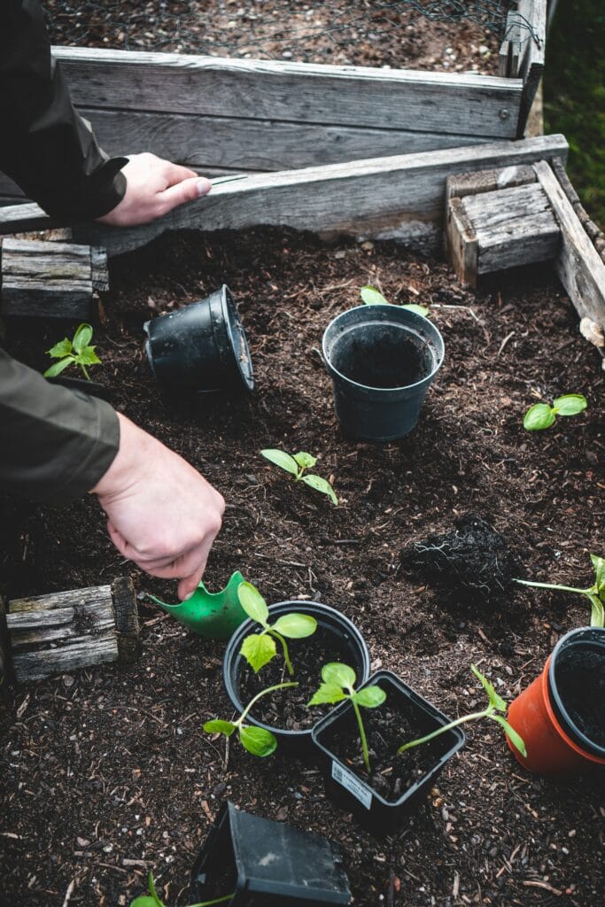 Hoe Duurzaam Is Potgrond?