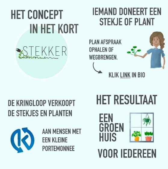 STEKKER: op weg naar een groene woonkamer voor iedereen 2 Planten Stekken