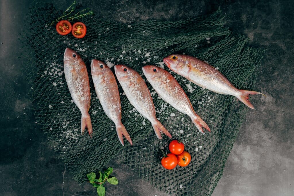 Stoppen Met Vis Eten, School Vissen In Het Water