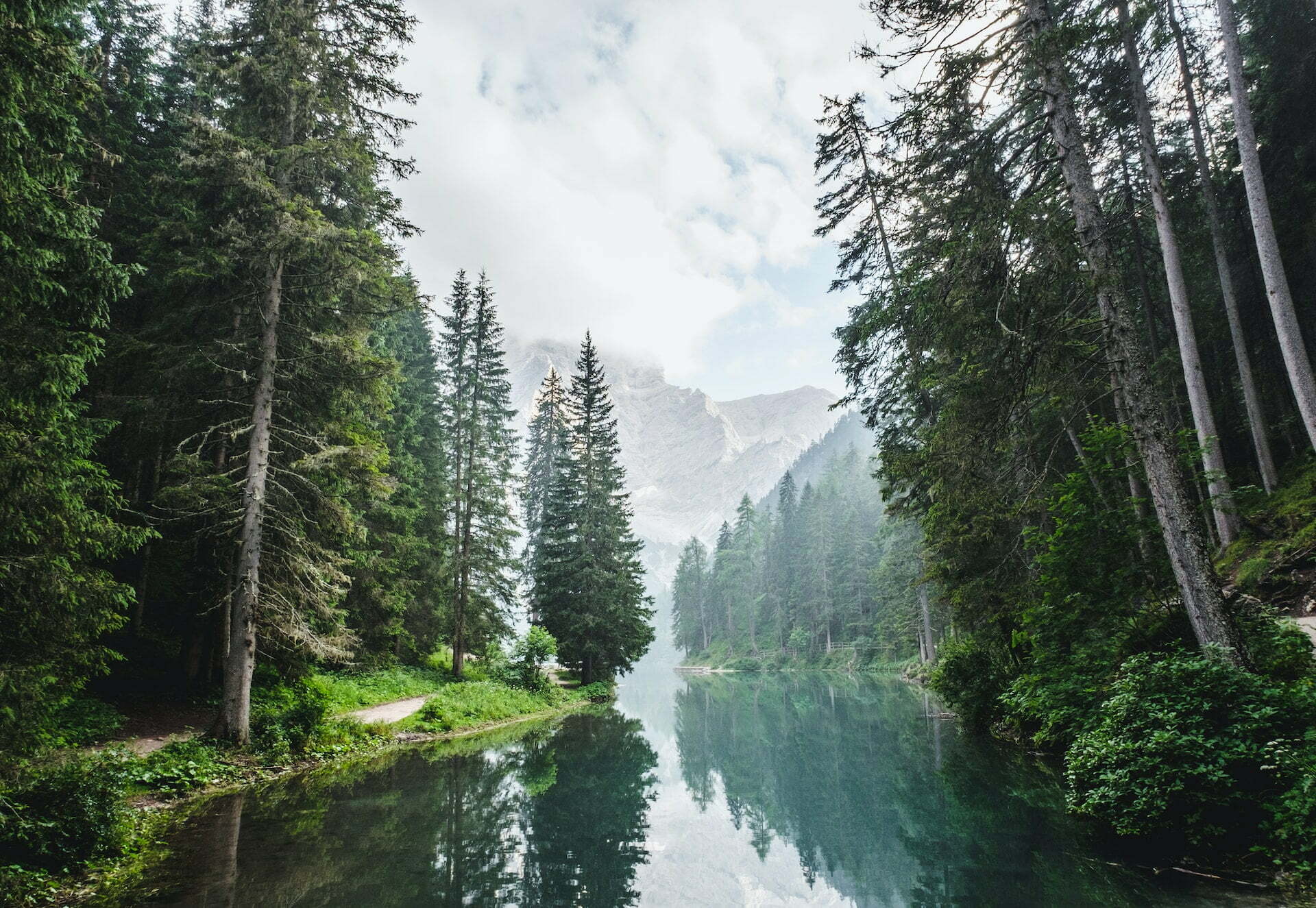 Natuur