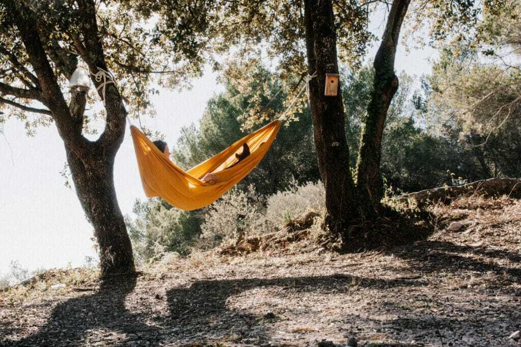 Aebde429 91Ce 41B2 98Aa 062Af49Ce579