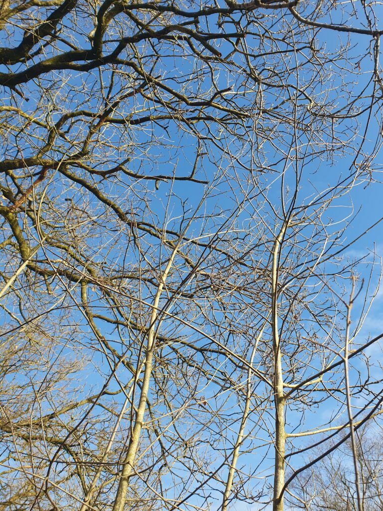 Trektocht In Drenthe