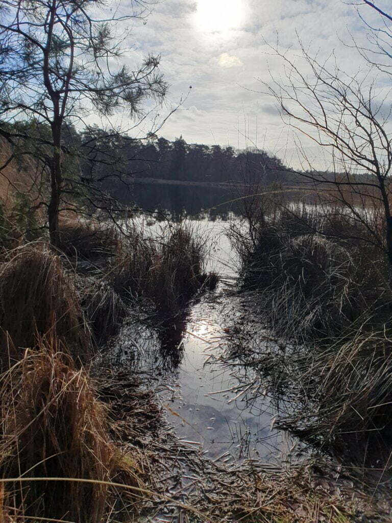 Trektocht In Drenthe