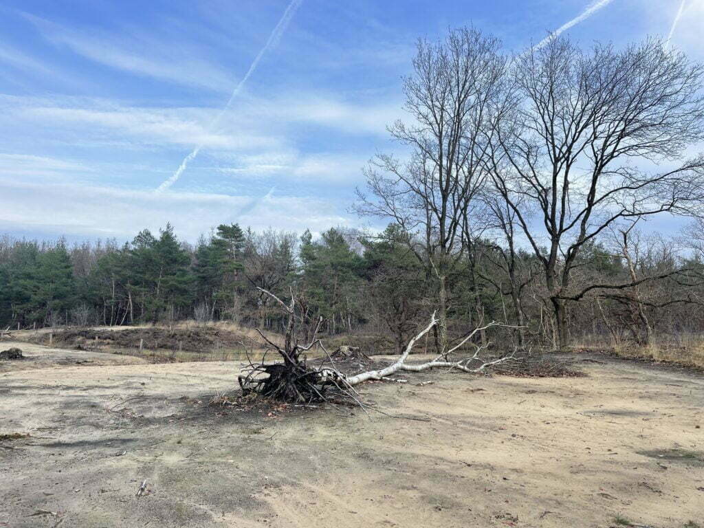 Trektocht In Drenthe