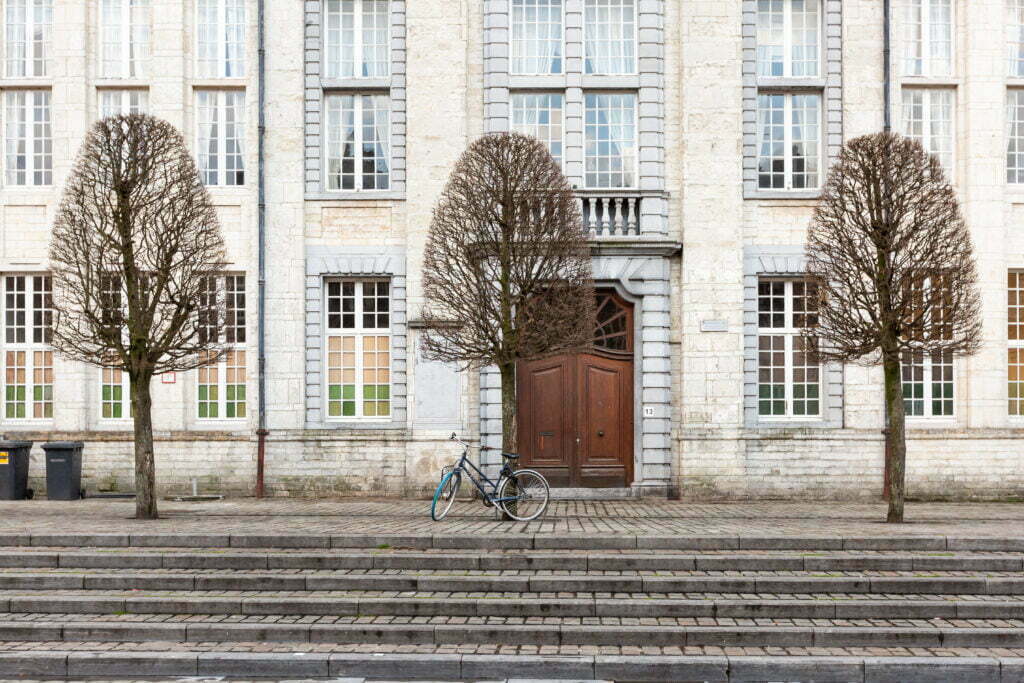Lummelen In Leuven 3 1