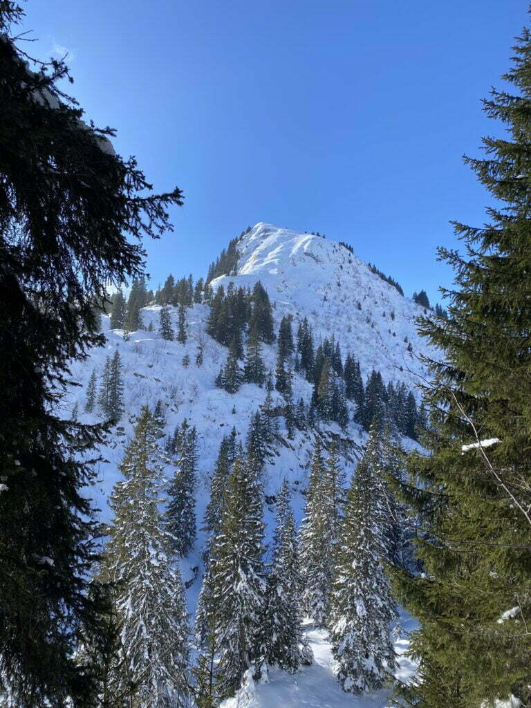 Alternatieve Wintersportvakantie In Zwitserland