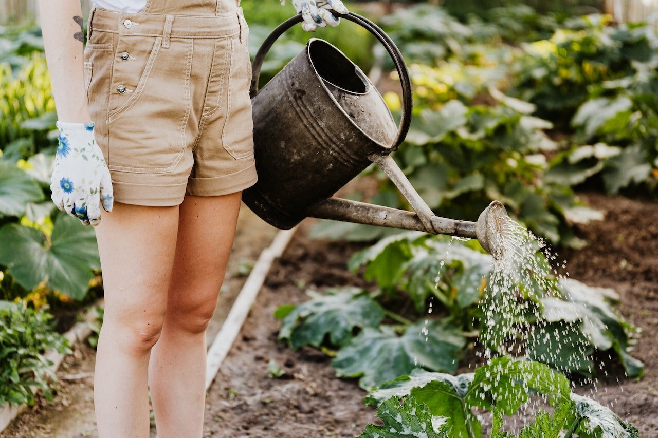 Tuin Lenteklaar Maken