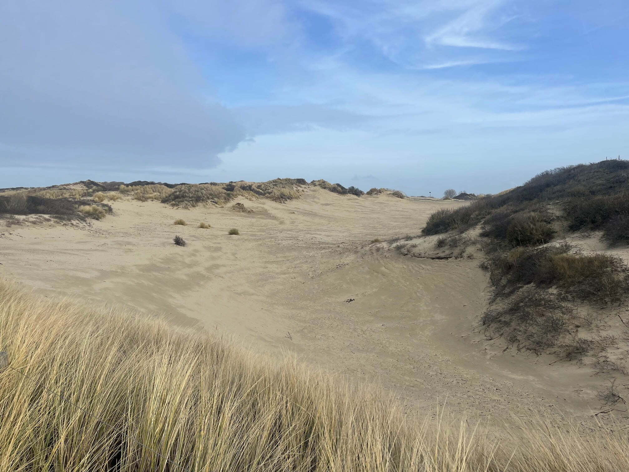 Provinciale Staten Stemmen