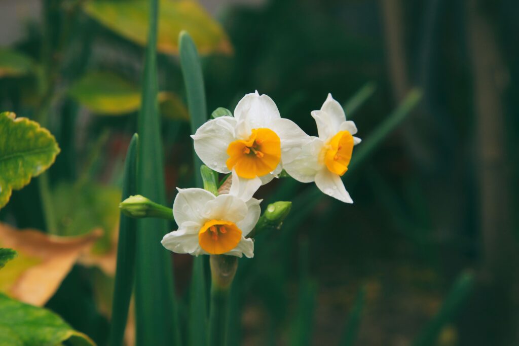 Mohammad Asadi V1Q13Pj F4O Unsplash