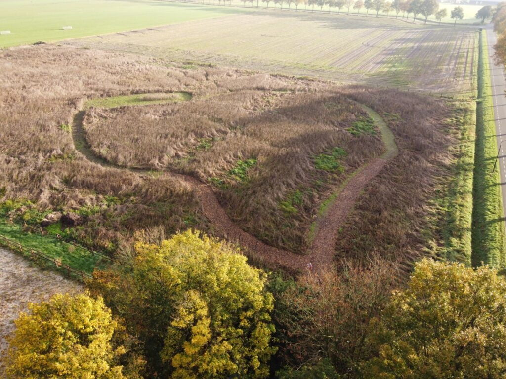 Voedselbos In Het Brabantse Rijen
