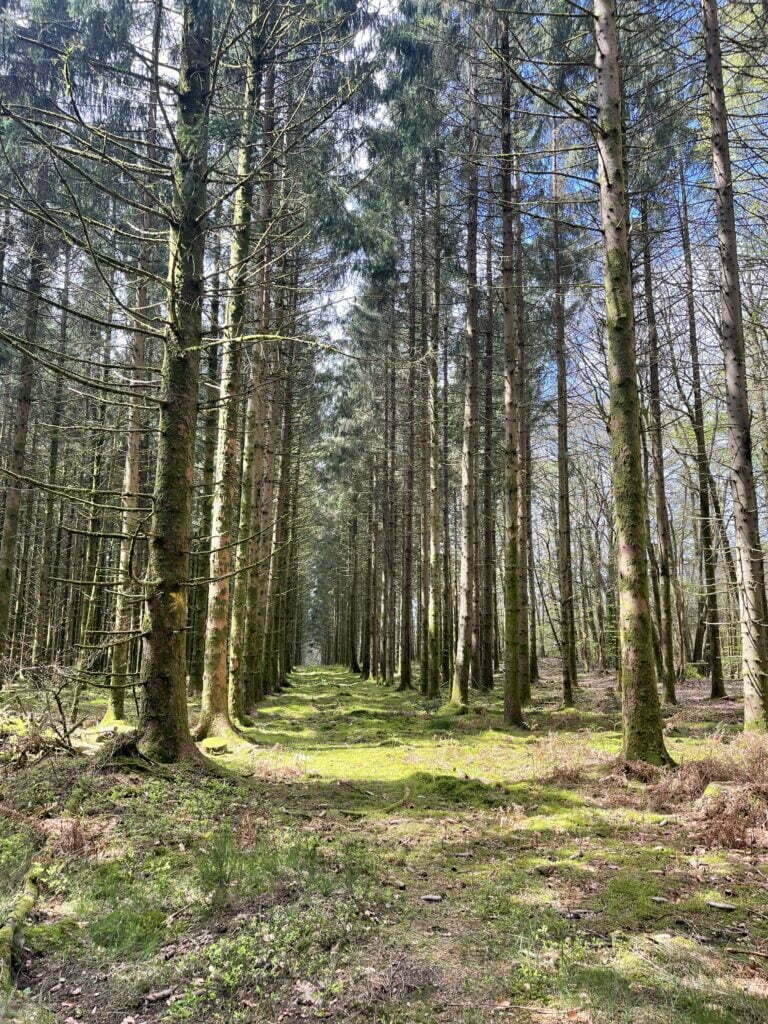 De Franse Ardennen zijn ongerept en groen. 5 tips voor een bezoek 8 Img 8930