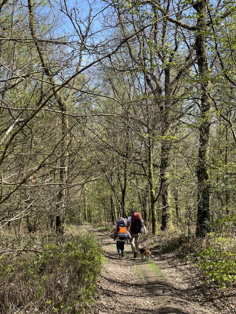 De Franse Ardennen zijn ongerept en groen. 5 tips voor een bezoek 5 Img 9153