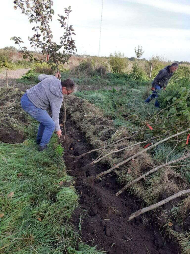 Voedselbos In Het Brabantse Rijen