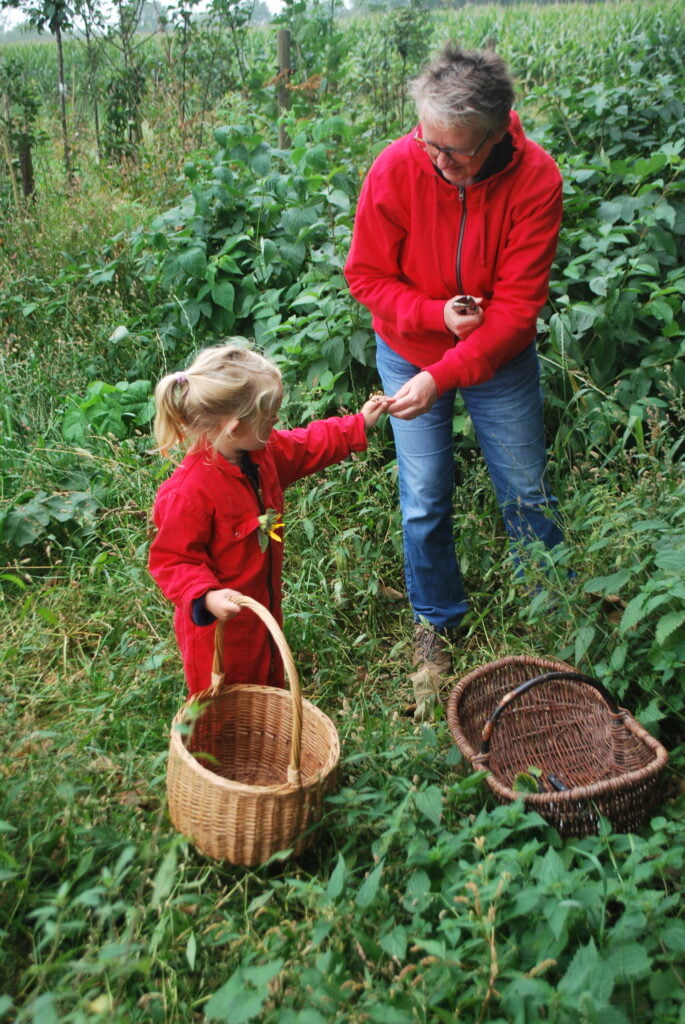 Voedselbos In Het Brabantse Rijen