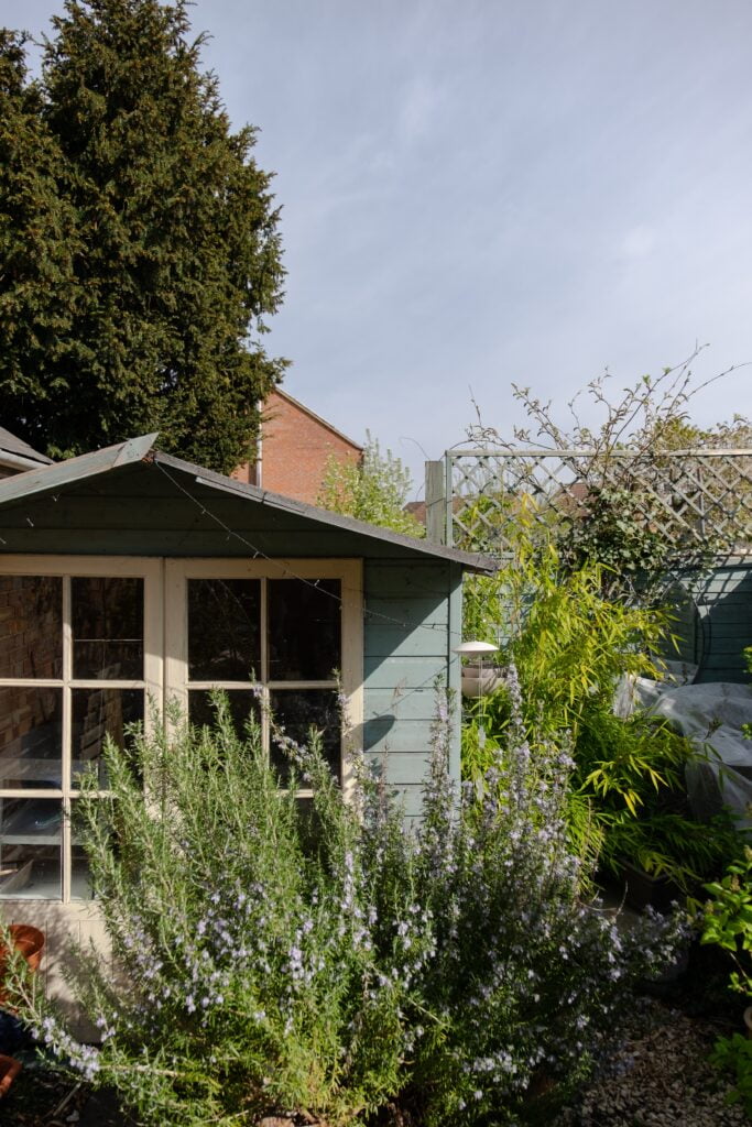 Minibos Planten In Je Tuin