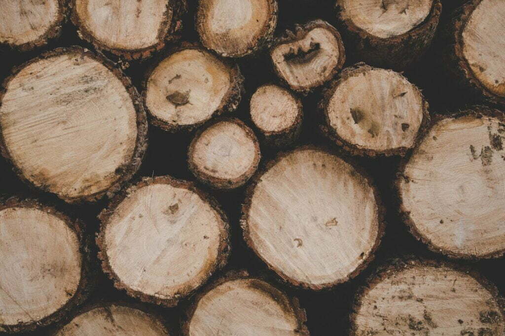 Is hout duurzaam? Zo herken je het milieuvriendelijkste hout: 5 aandachtspunten 3 Pexels Matej 761535