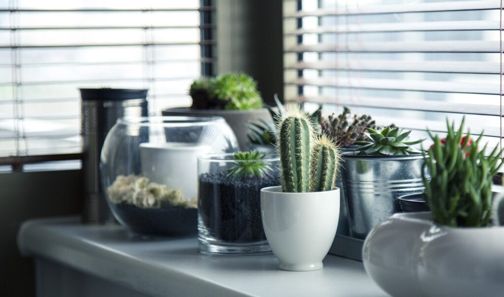 Pots Gb4A0734Ff 1920 1