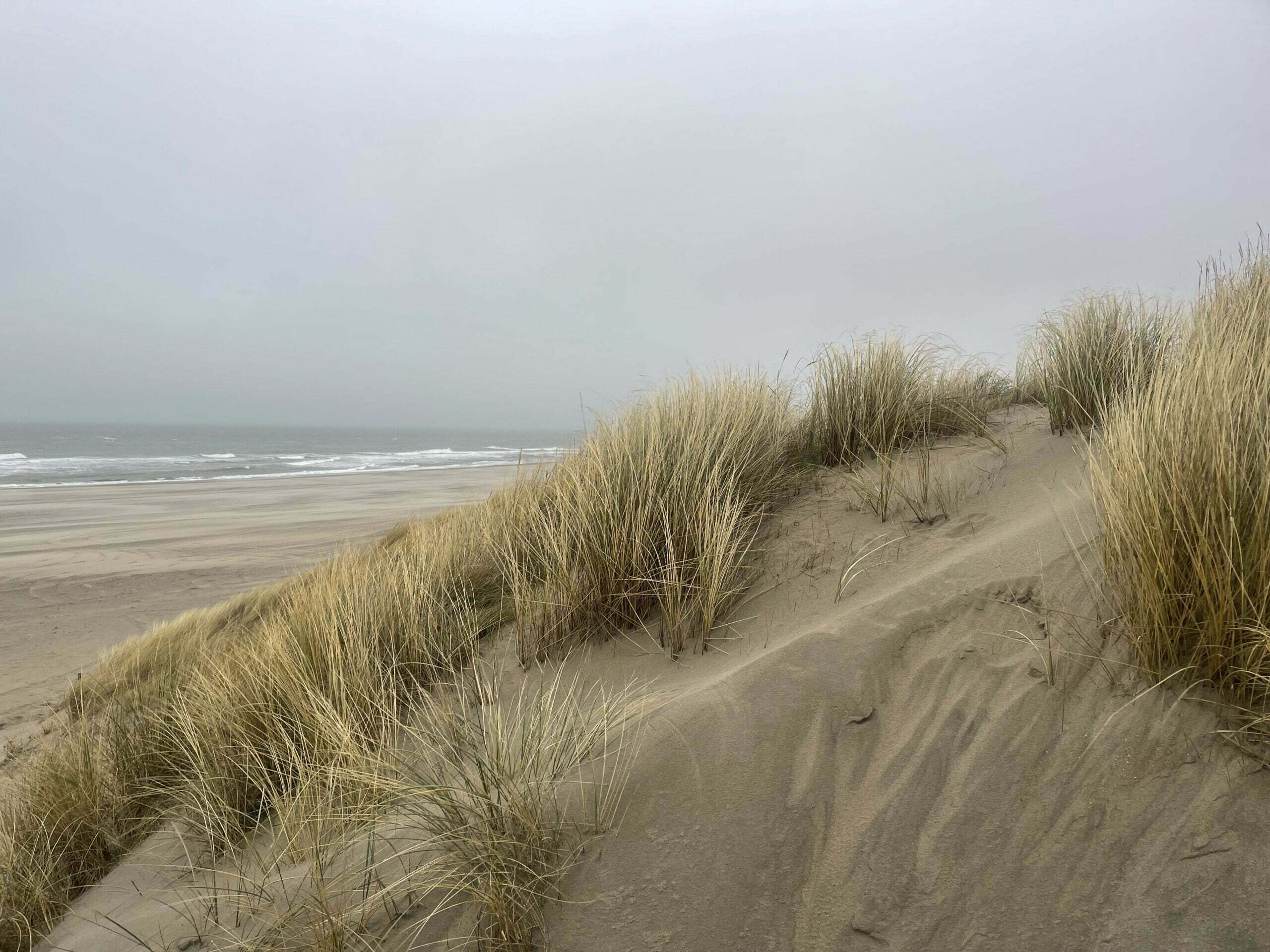 Duinen