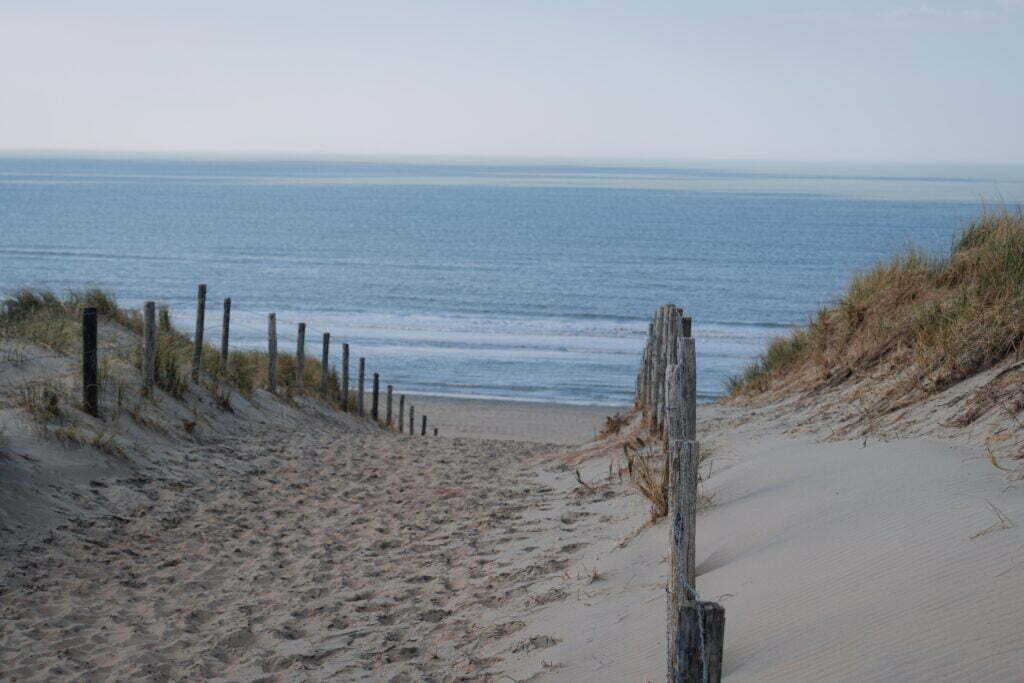 Hoe vervuilend is de Formule 1 eigenlijk? 6 Hoe Duurzaam Is De Formule 1?