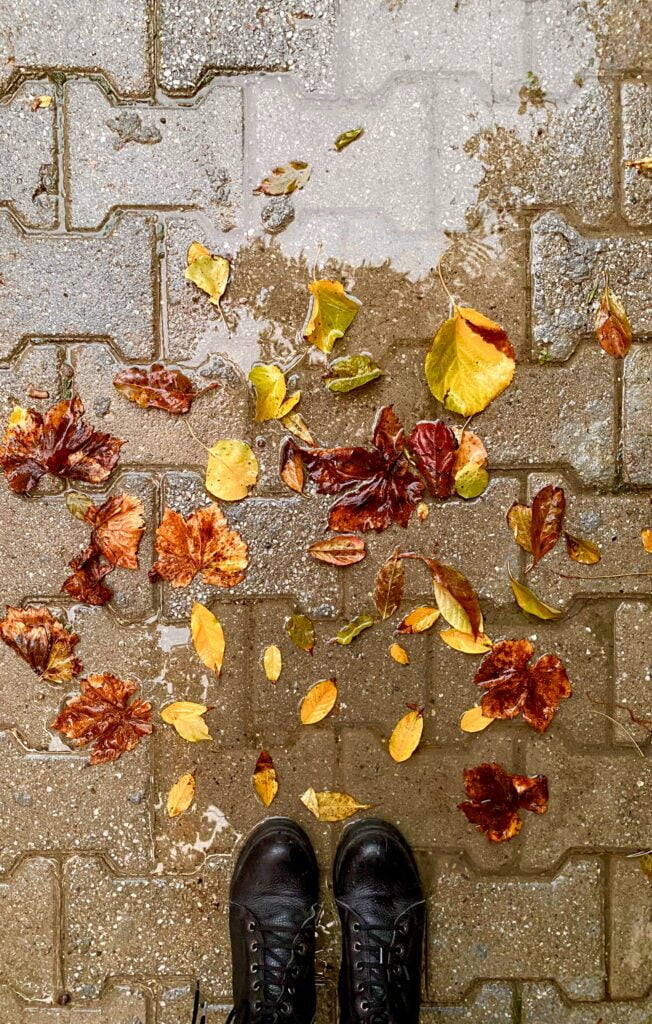Pexels Merve Doruk 19454980