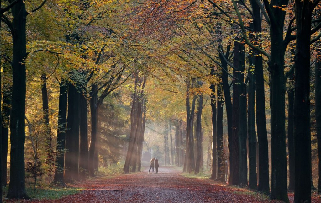 Lage Vuursche 300Roedenlaan 1024X647 2