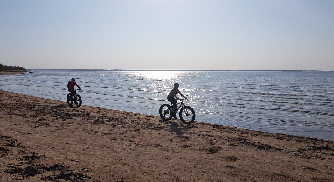 Fatbikes