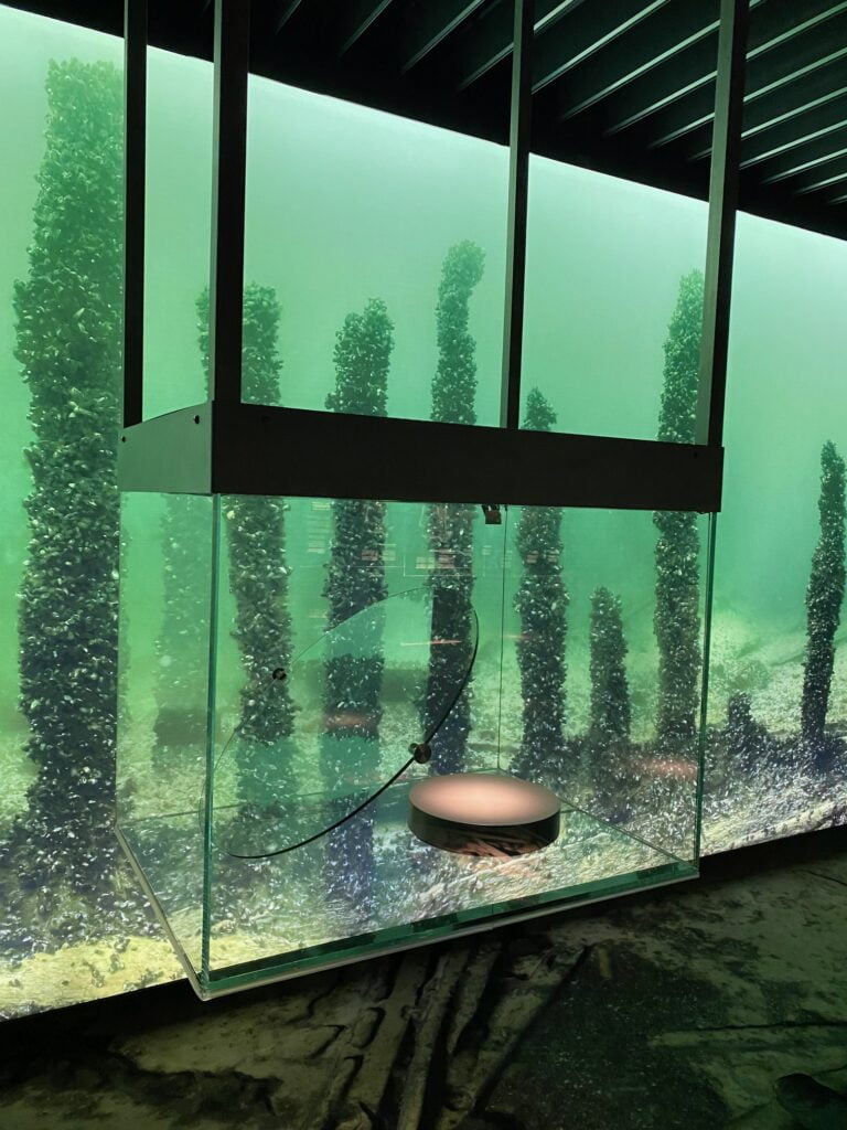 Stockholm: een bezoek aan de ‘groene huiskamer’ 2 Stockholm