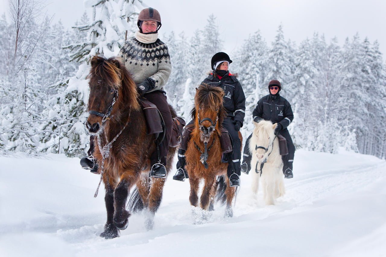 Zweeds Lapland
