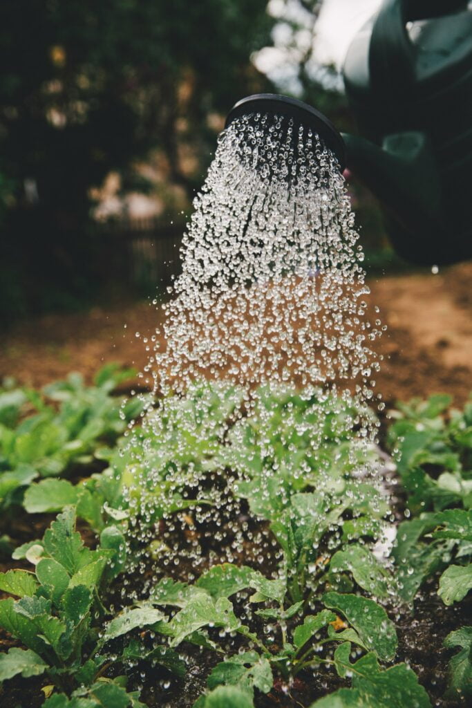 Zo Maak Je Je Tuin In 5 Stappen Klaar Voor De Lente