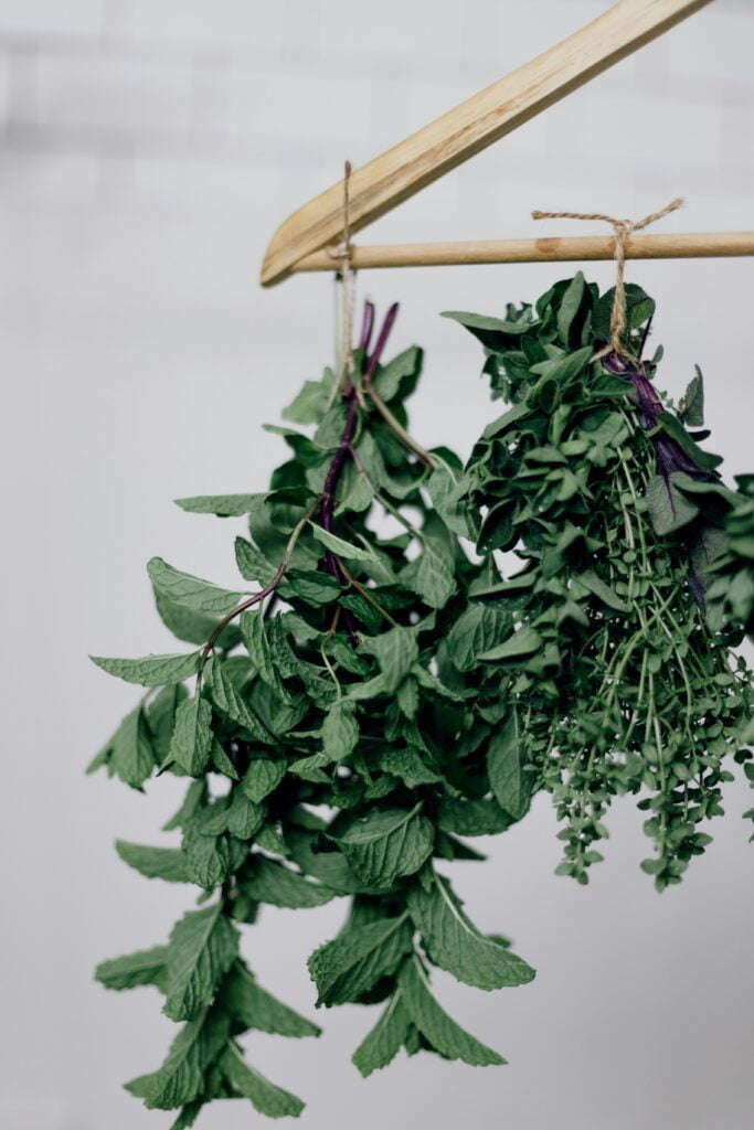 Priscilla Du Preez Fyqcu1Rtuby Unsplash