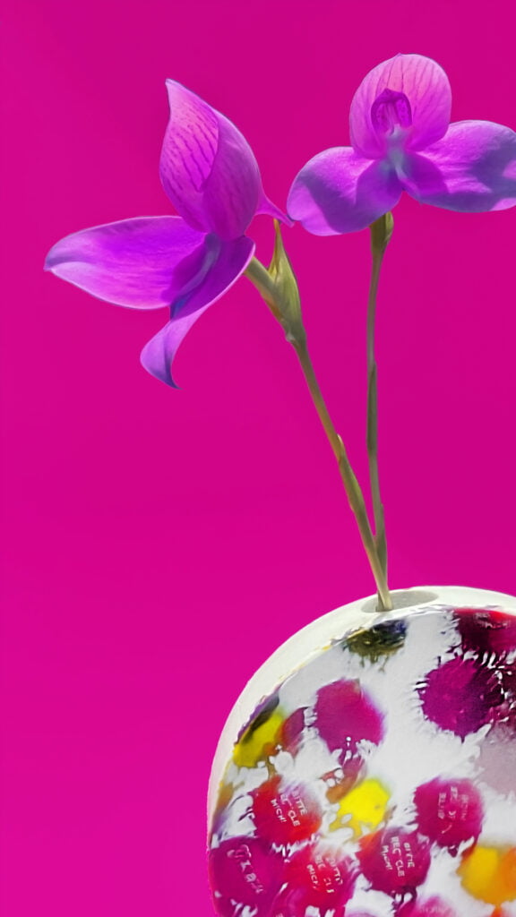 Design Skateboard Van Flessendoppen Wastecraft Te Koop In Moma New York