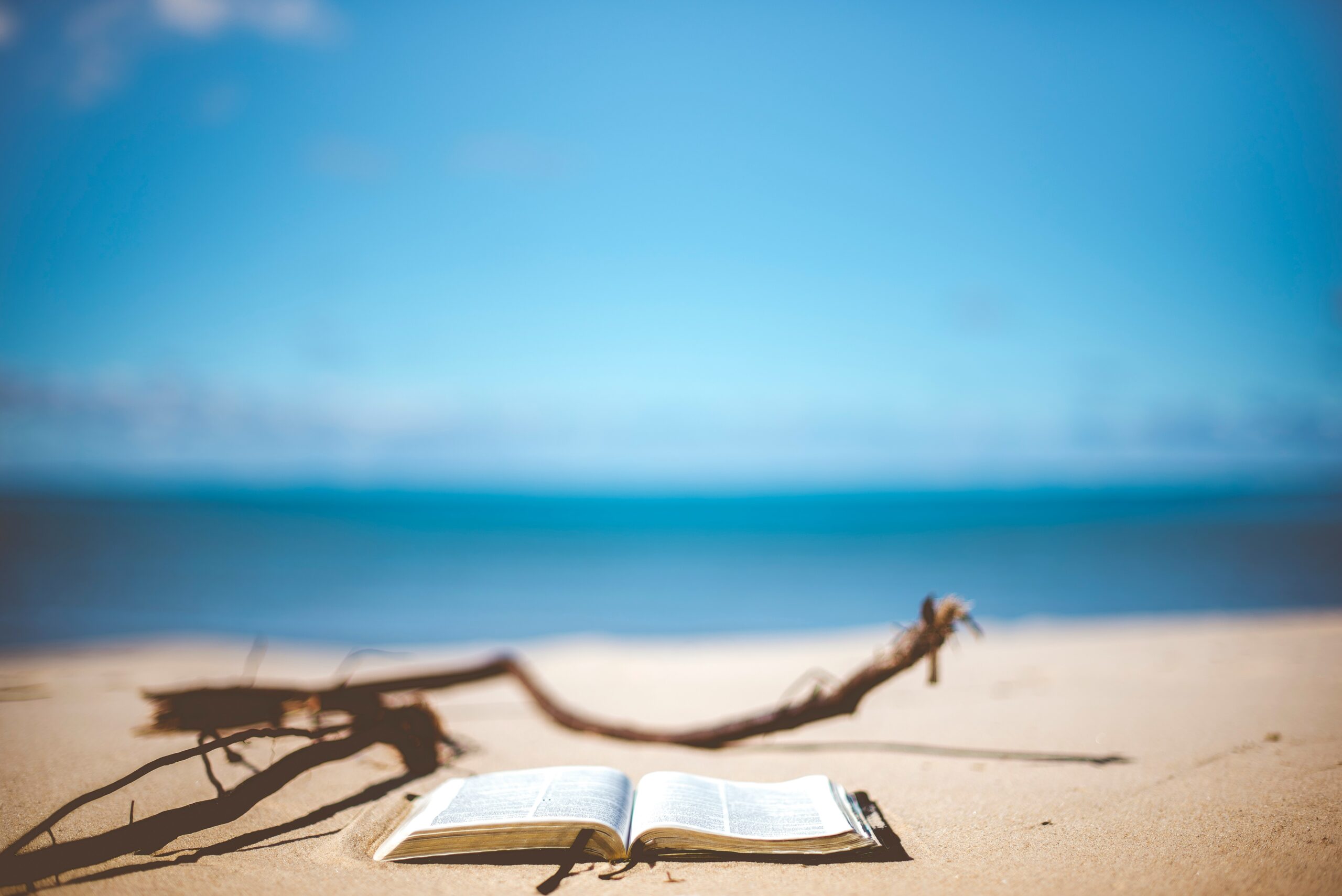 Dit Zijn Onze 7 Boekentips Voor Deze Zomer