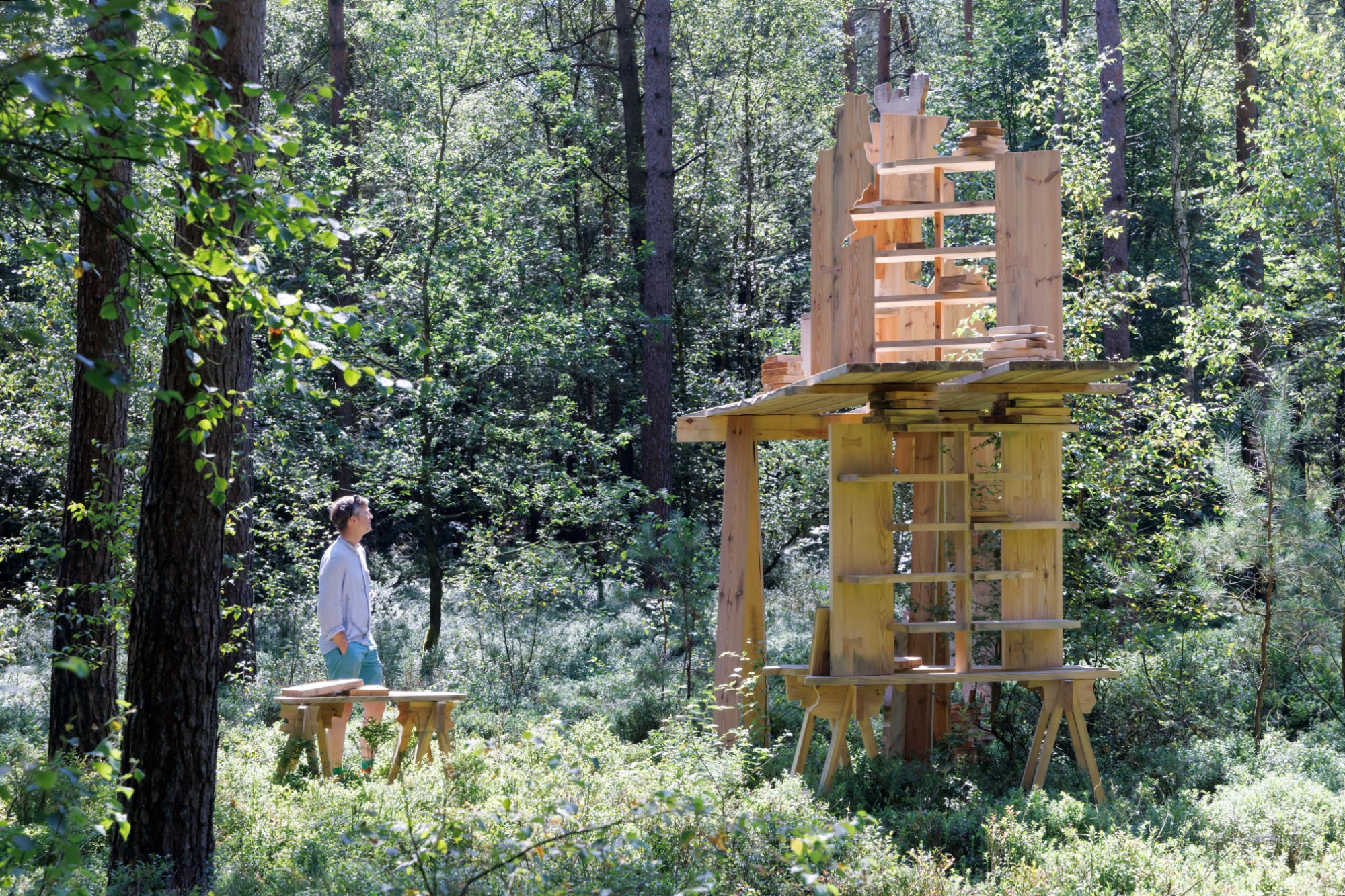 Kunnen Bomen Denken? Een Interview Met Iniatiefnemer Van Het Thinking Forest Gerbrand Burger