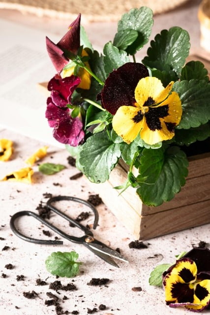 Bloemen
